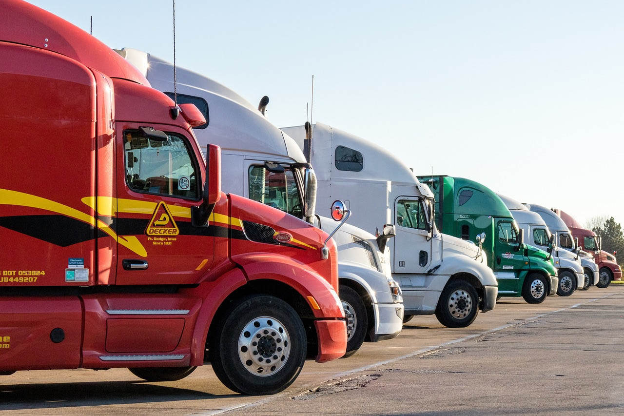 Import & Export Shipping